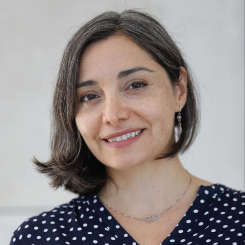 Dra. Mónica Firmani Villarroel