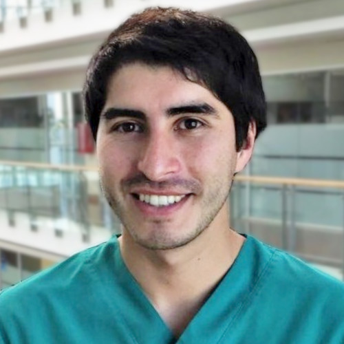 Dr. Pablo Abarzúa Cofré